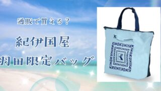 紀伊国屋バッグ