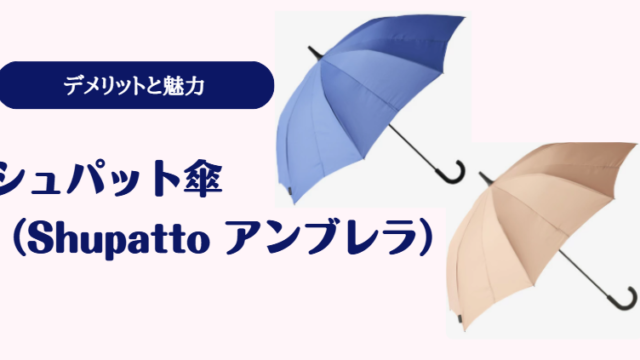 シュパット傘のデメリット